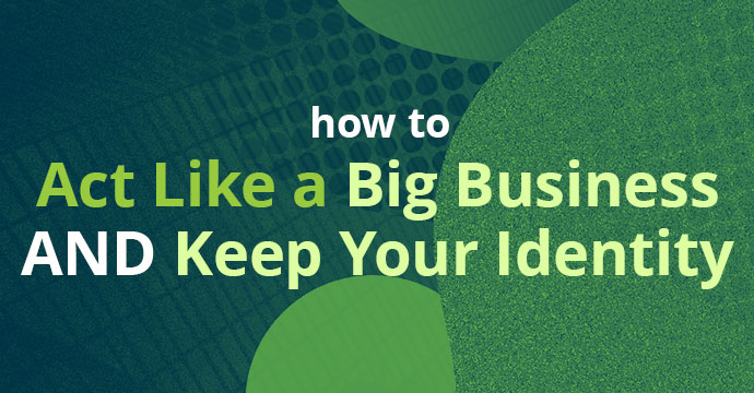 How-to-Act-Like-a-Big-Business-AND-Keep-Your-Identity thumb